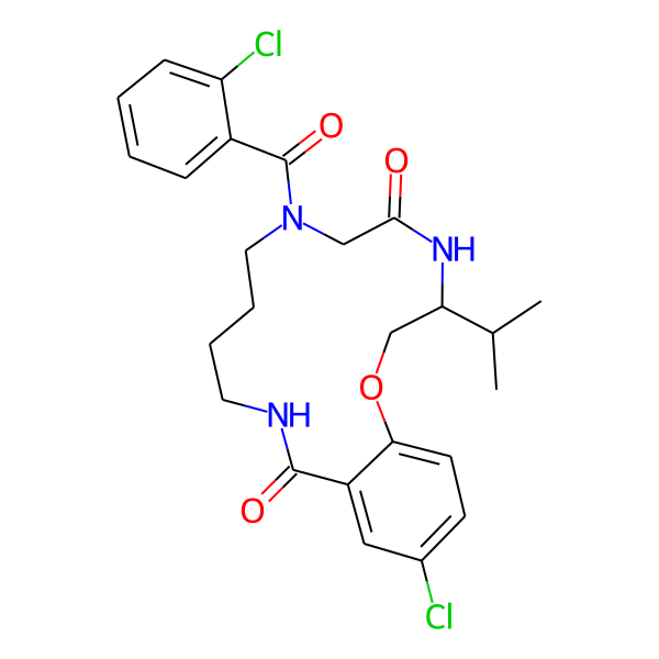 MC-1004