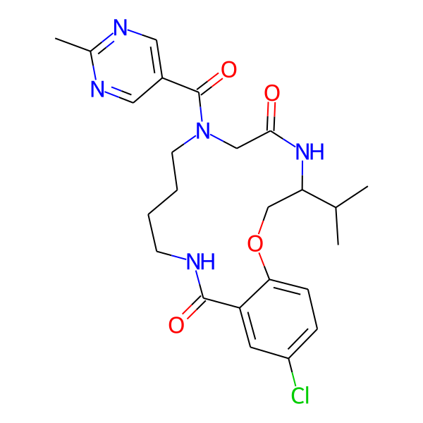 MC-2589